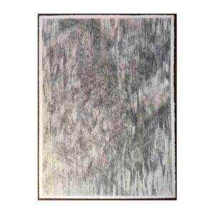 幻想の森は、濃密な縦の筆致と、グレーと白の濃淡による質感が特徴の、抽象的な現代の木炭画です。.