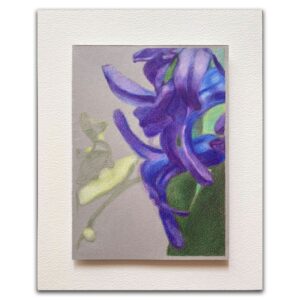 ヒヤシンスの問いと題された川田祐子作の色鉛筆画。薄い灰色の背景に青と紫のヒヤシンスの花が描かれており、現代抽象芸術のスタイルで白いマットに額装されています。.